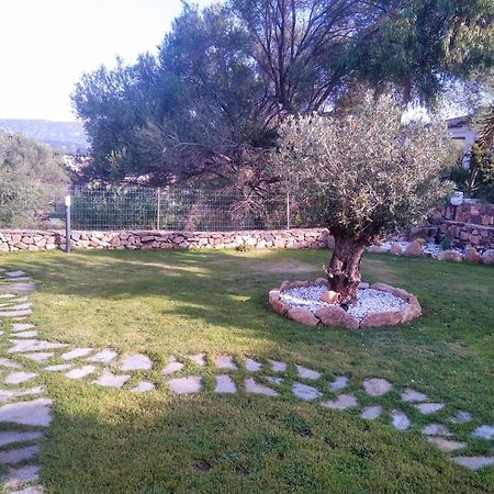 Villetta Cala D'Ambra ซาน เตโอโดโร ภายนอก รูปภาพ