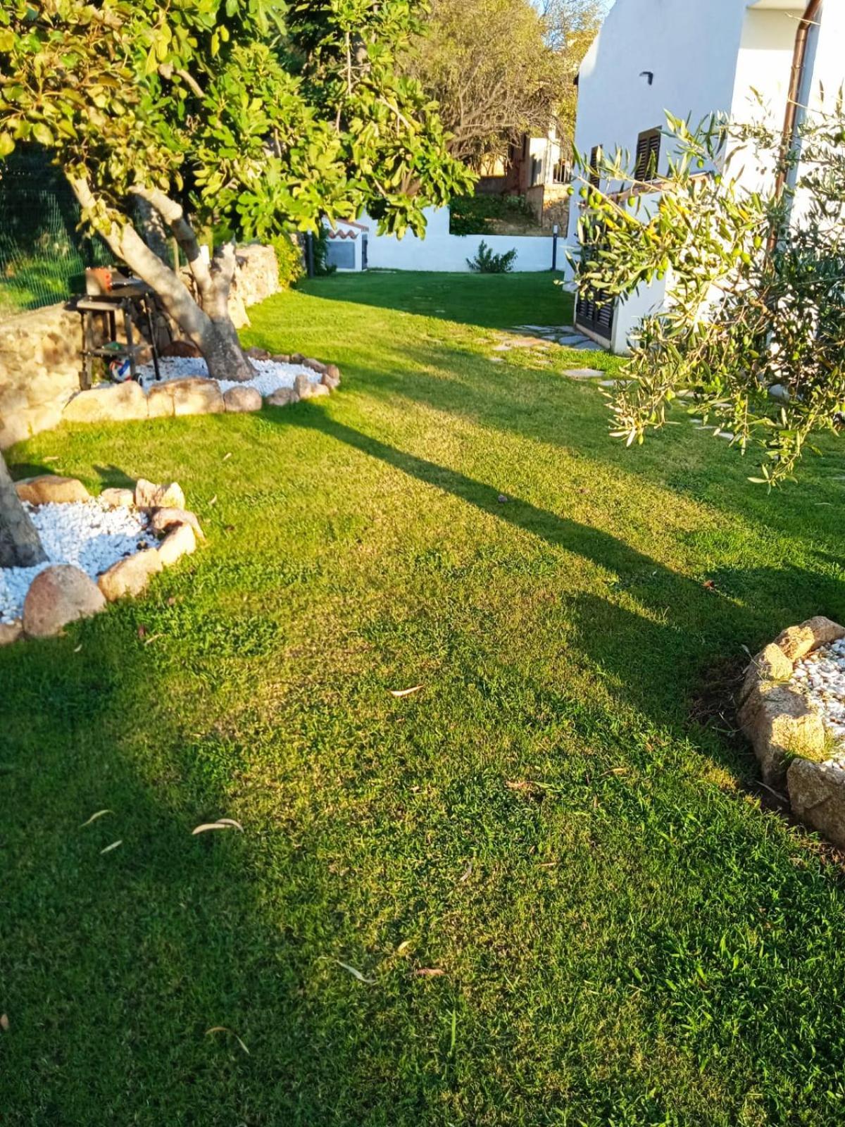 Villetta Cala D'Ambra ซาน เตโอโดโร ภายนอก รูปภาพ