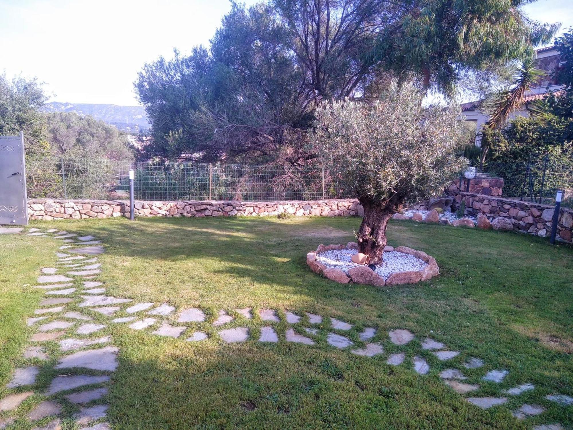 Villetta Cala D'Ambra ซาน เตโอโดโร ภายนอก รูปภาพ